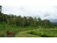 1280 Marlborough Road, Sarina QLD 4737