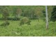 1280 Marlborough Road, Sarina QLD 4737
