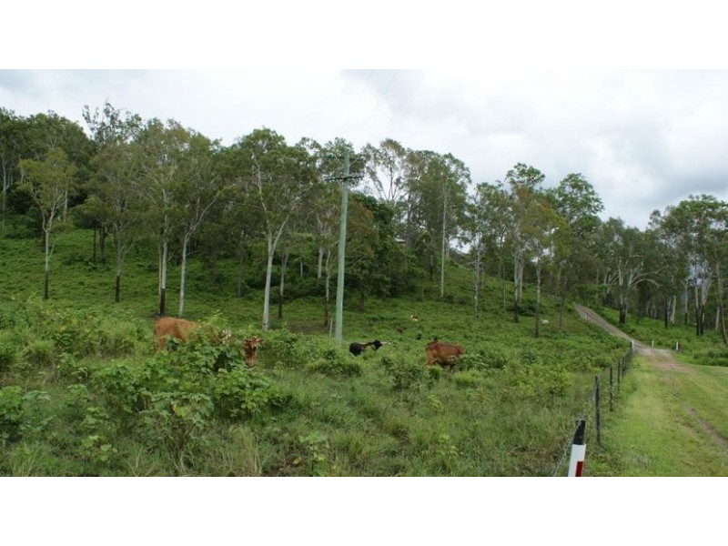 1280 Marlborough Road, Sarina QLD 4737