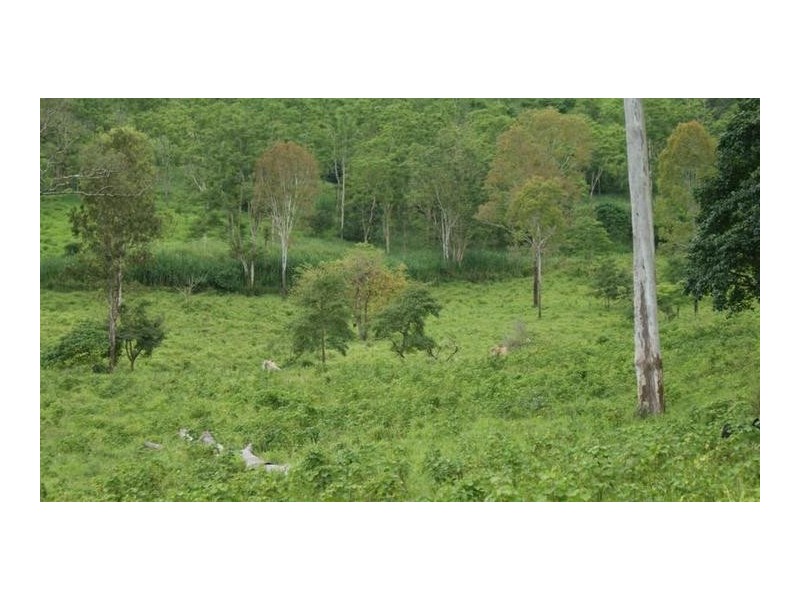 01280 Marlborough Road, Sarina QLD 4737