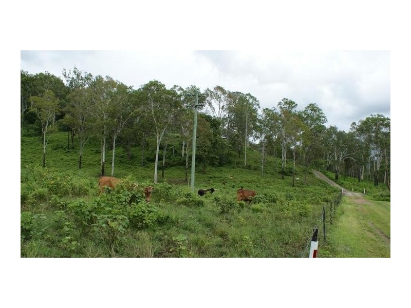 01280 Marlborough Road, Sarina QLD 4737