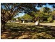 15 Johnsons Road, Koumala QLD 4738