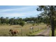 215 Cliftonville Road, Sarina QLD 4737