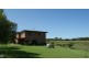 29 Upper Alligator Creek Road, Sarina QLD 4737