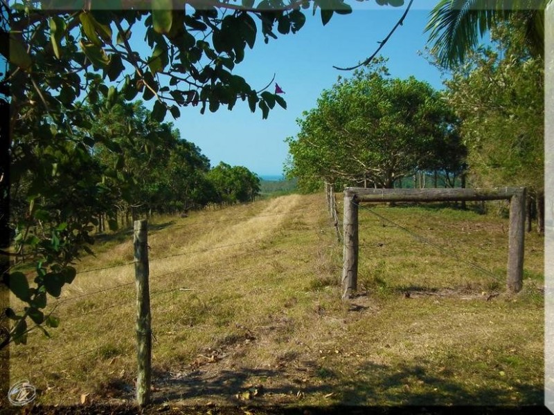 165 Grasstree Beach Road, Grasstree Beach QLD 4740