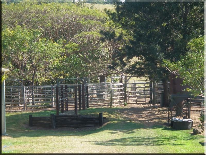 165 Grasstree Beach Road, Grasstree Beach QLD 4740