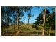 165 Grasstree Beach Road, Grasstree Beach QLD 4740