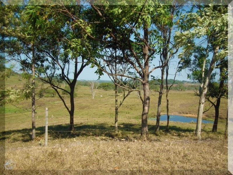 165 Grasstree Beach Road, Grasstree Beach QLD 4740