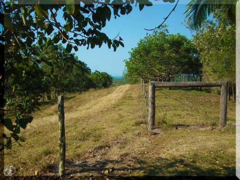 165 Grasstree Beach Road, Sarina QLD 4737