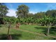 155 Smart Road, Koumala QLD 4738