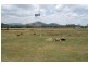 14 Shinfield Road, Sarina QLD 4737