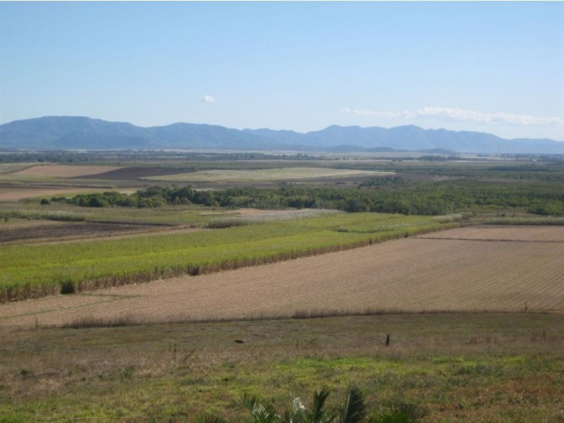 89 Diggings Road, Alligator Creek QLD 4740