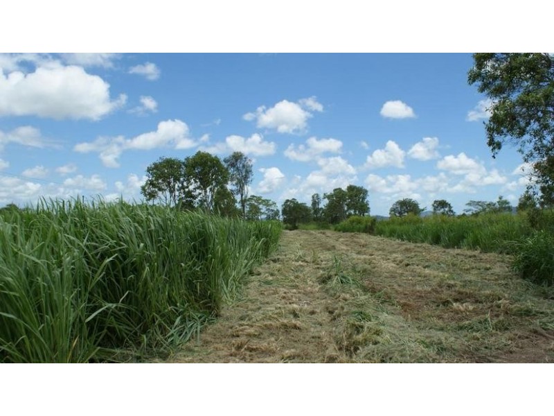 Lot 88 Dawlish Road, Sarina QLD 4737