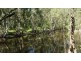 200 Mullers Road, Sarina QLD 4737