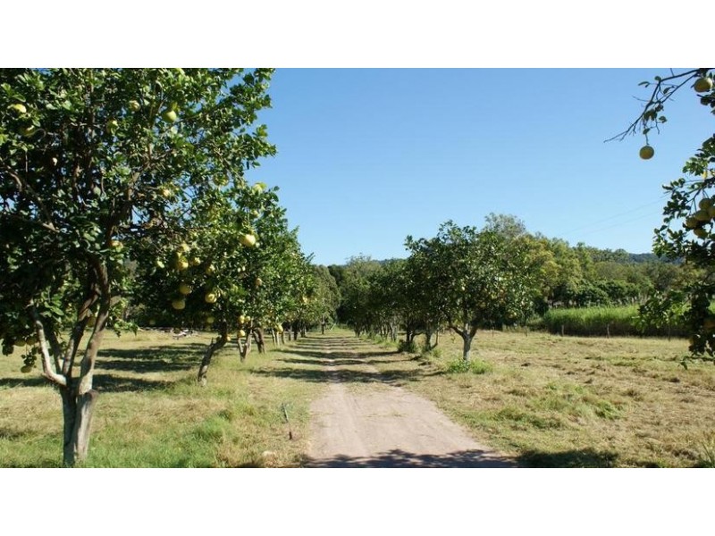 200 Muller Road, Sarina QLD 4737