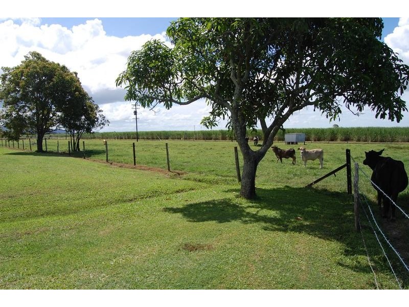 288 Dawlish Road, Sarina QLD 4737