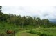 1280 Marlborough Sarina Road, Sarina QLD 4737