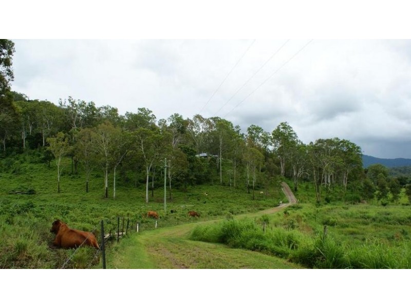 1280 Marlborough Sarina Road, Sarina QLD 4737