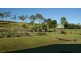 31 Mountney Road, Sarina QLD 4737
