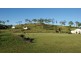 31 Mountney Road, Sarina QLD 4737