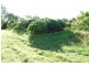 Lot 1 Cone Creek Road, Koumala QLD 4738