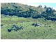 3 Notch Point Road, Ilbilbie QLD 4738