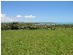 3 Notch Point Road, Ilbilbie QLD 4738