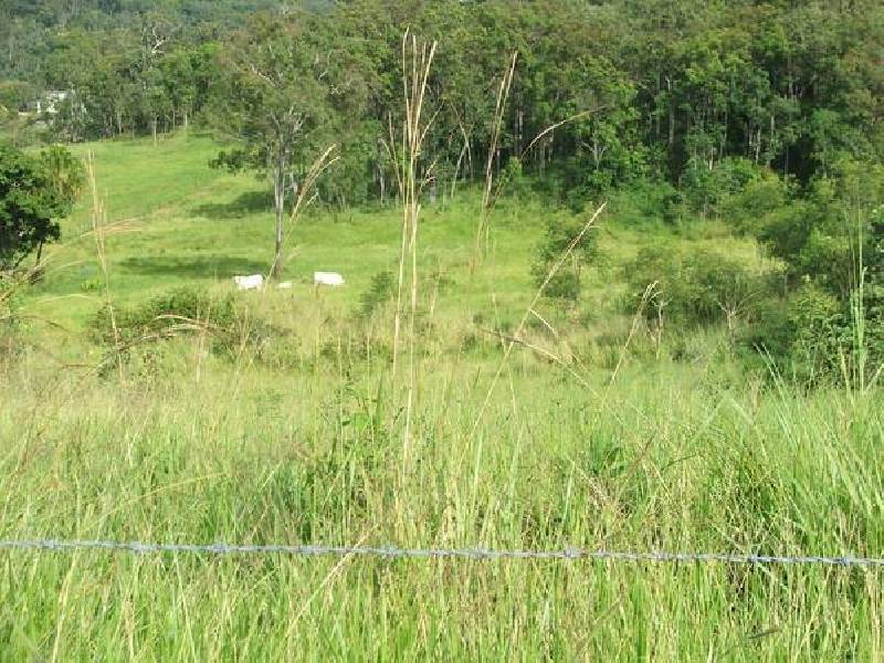 Lot 47 Courtneys Gap Road, Sarina QLD 4737