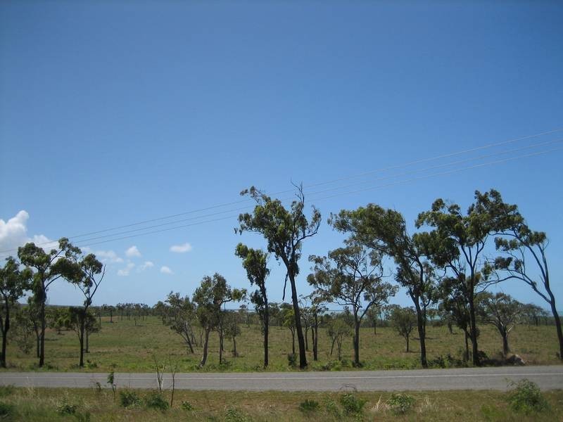 87157 Greenhill Road, Ilbilbie QLD 4738