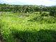 Grasstree Beach Road, Grasstree Beach QLD 4740