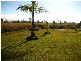 87347 Bruce Highway, Ilbilbie QLD 4738