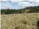 Lot 11 Bolingbroke Road, Koumala QLD 4738