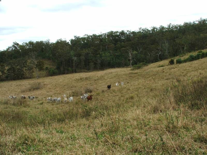 Lot 11 Bolingbroke Road, Koumala QLD 4738