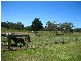 8 Wrights Road, Grasstree Beach QLD 4740