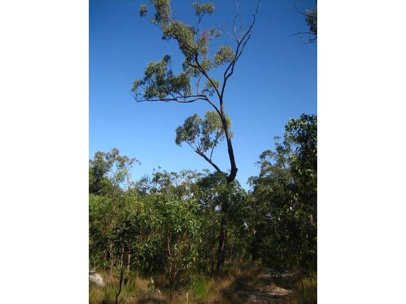 Lot 6 Cape Palmerston Road, Ilbilbie QLD 4738