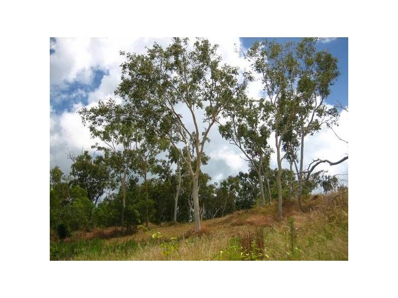 17 Fleetwood Court, Freshwater Point QLD 4737