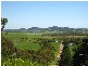 175 Homebush Road, Sarina QLD 4737