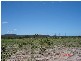 Lot 51 Greenhill Road, Ilbilbie QLD 4738