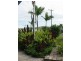 20 Rasmussen Avenue, Salonika Beach QLD 4740