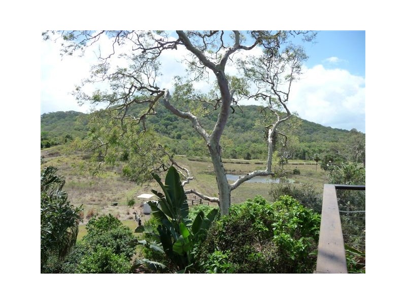 53 Mick Ready’s Road, Grasstree Beach QLD 4740