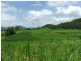 Lot 1094 Whitakers Road, Sarina QLD 4737