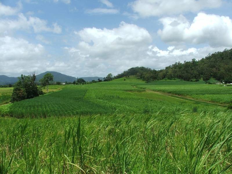 Lot 1094 Whitakers Road, Sarina QLD 4737