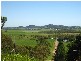 175 Homebush Road, Sarina QLD 4737