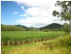 Carmila QLD 4739
