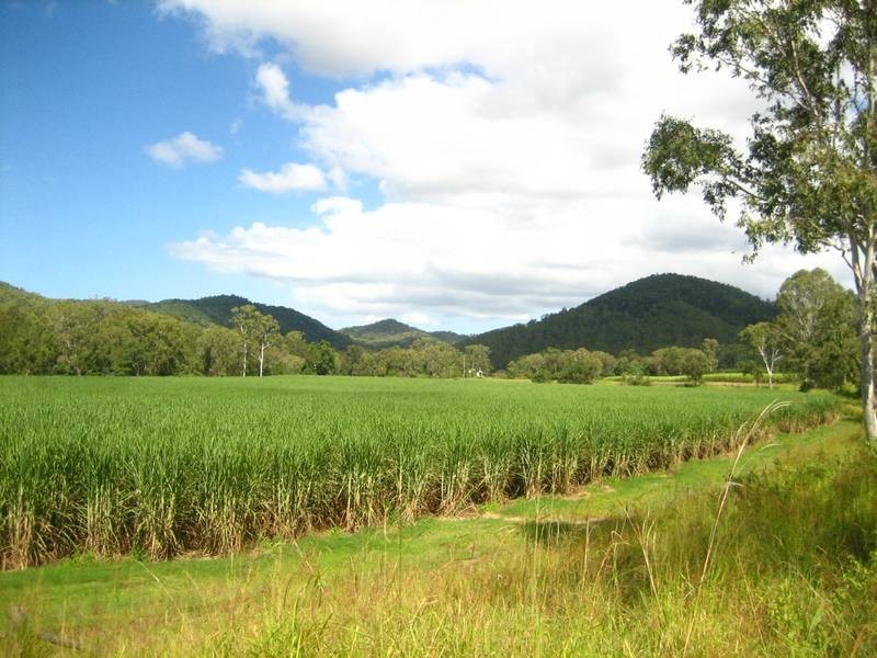 Carmila QLD 4739