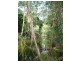 Carmila QLD 4739