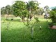 14 Graham Street, Koumala QLD 4738