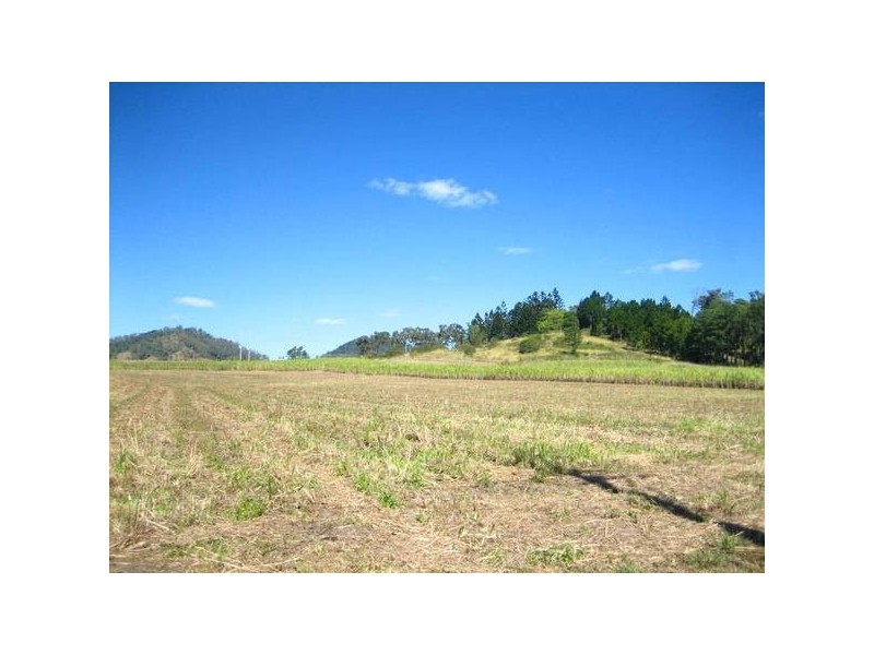 175 Homebush Road, Sarina QLD 4737
