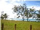 98 The Esplanade, Grasstree Beach QLD 4740