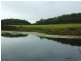 Lot 2 & 53 Cone Creek Road, Koumala QLD 4738